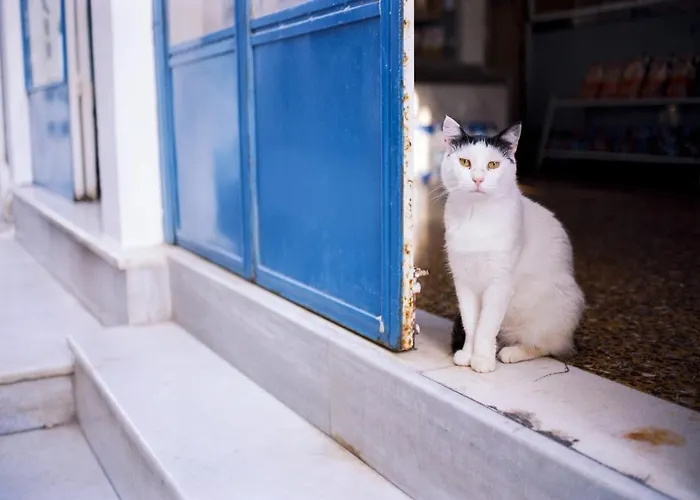 Villa Amazing Santorini 1 Bedroom Euphoria Private Pool & Beautiful *